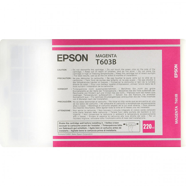 Картридж Epson C13T603B00