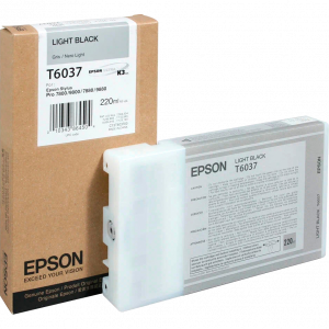 Картридж Epson C13T603700